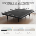 Adjustable Bed Frame Queen with Massage -Wireless Remote Electric Power Bed Foundation Under-Bed Lighting | Zero Gravity | USB PortsX2 | Height Adjustable Legs